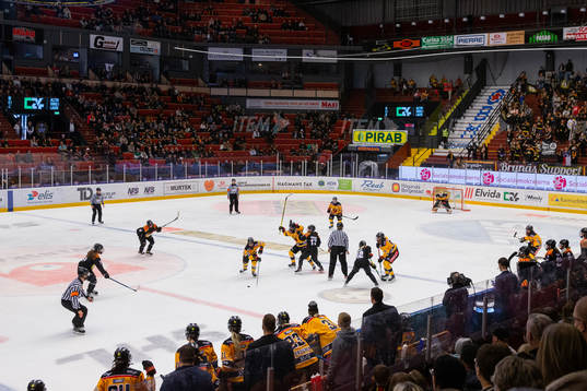Monitor ERP Arena