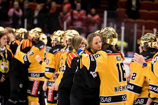 Luleå och Brynäs spelarna