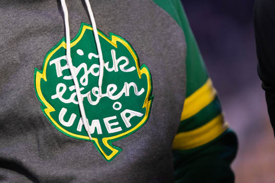 Björklövens logotyp
