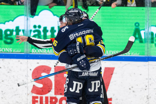 s Hunter Shinkaruk jublar med målskytten till 4-1 Tyler