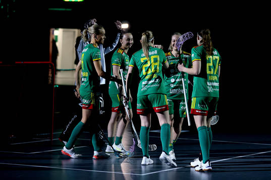Thorengruppen