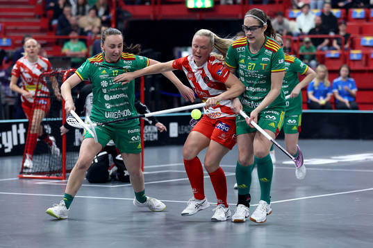 Thorengruppens Cornelia Fjellstedt, Oona Kauppi och Pixbos
