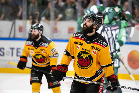 Luleås Linus Fröberg deppar