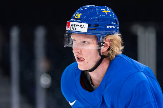 Rasmus Dahlin