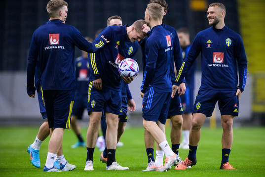 Joakim Nilsson of the Swedish national football team gets