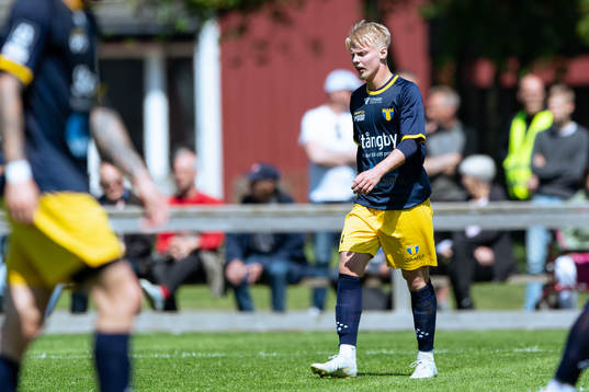 Torns Alvin Holmgren