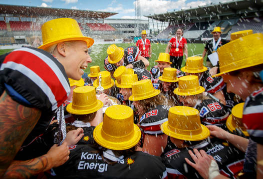 e SM-guld