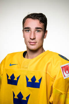 Daniel Torgersson of Sweden poses for a portrait