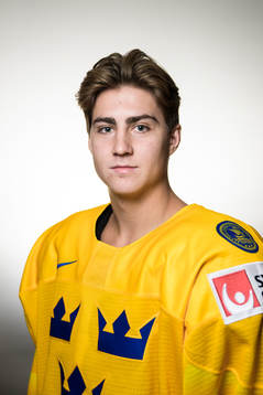 Daniel Ljungman of Sweden poses for a portrait
