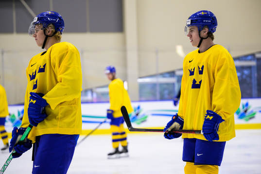 Theodor Niederbach and Jonathan Lekkerimäki of Sweden at a