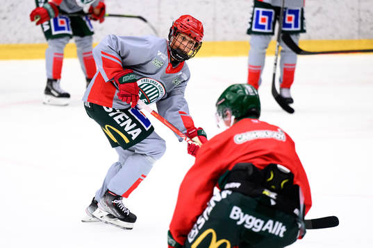 Hanna Olsson