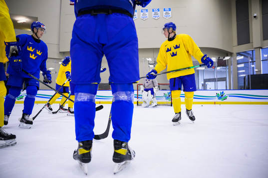 Daniel Ljungman and Theodor Niederbach of Sweden at a