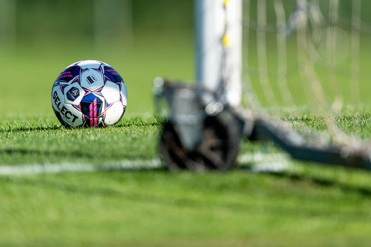 En fotboll