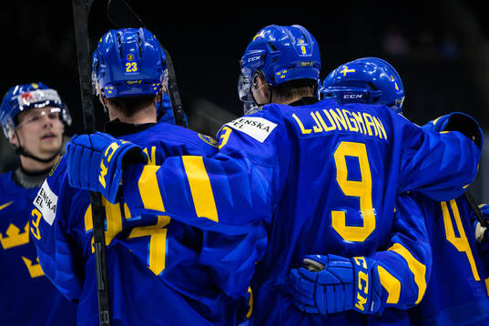 Daniel Ljungman of Sweden celebrates with teammates