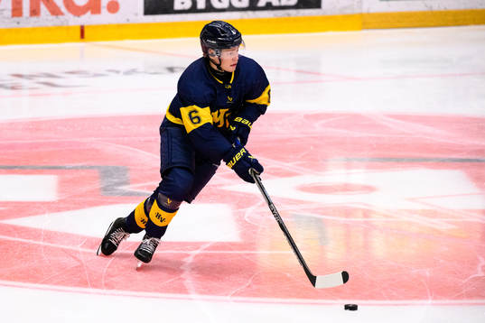 HV71s Filip Westerlund