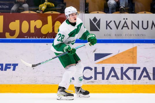 Rögles Viktor Smeds