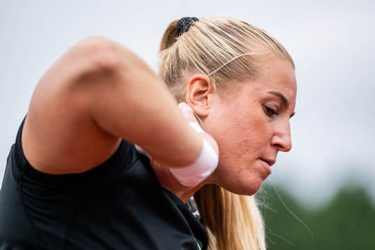 Fanny Roos, Malmö AI