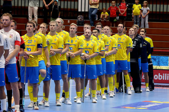 Swedish team
