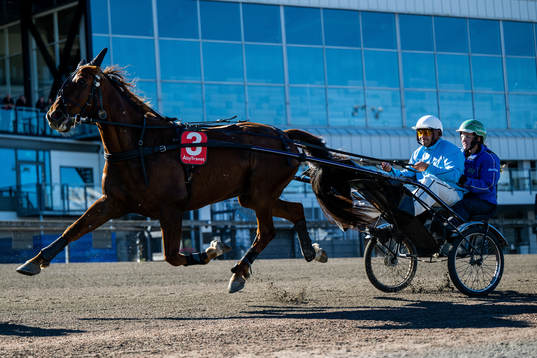 Kungälvs tränare Hamed Khazrai kör ett travlopp
