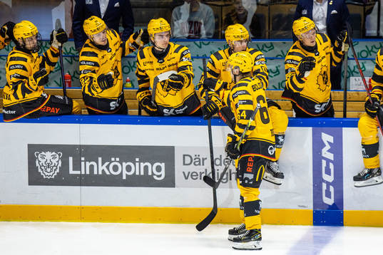 Skellefteås Jonathan Pudas jublar