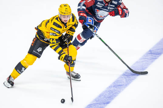 Skellefteås Elias Salomonsson