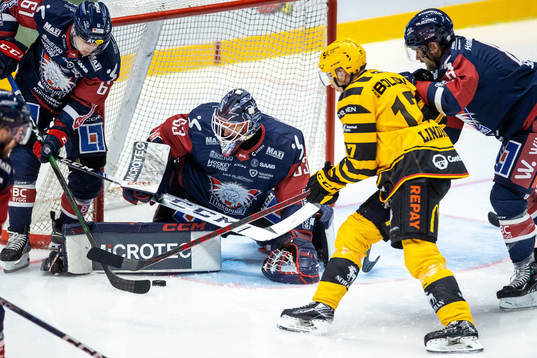 Linköpings målvakt Marcus Högberg