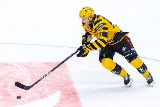 Skellefteås Rickard Hugg