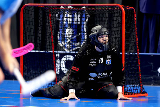 Helsingborgs målvakt Jonathan Edling