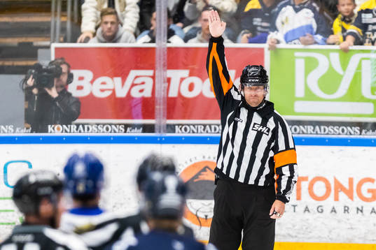Domare Mikael Holm