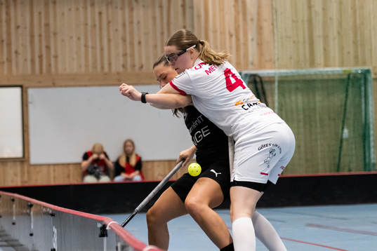 s Ilda Mettäla