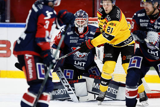 Linköpings målvakt Marcus Högberg