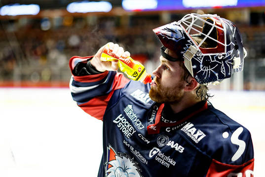 Linköpings målvakt Marcus Högberg