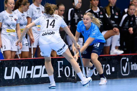 Bläddra bland fler bilder av Innebandy, SSL Dam, Warberg - Pixbo