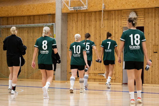 Helsingborgs spelare deppar
