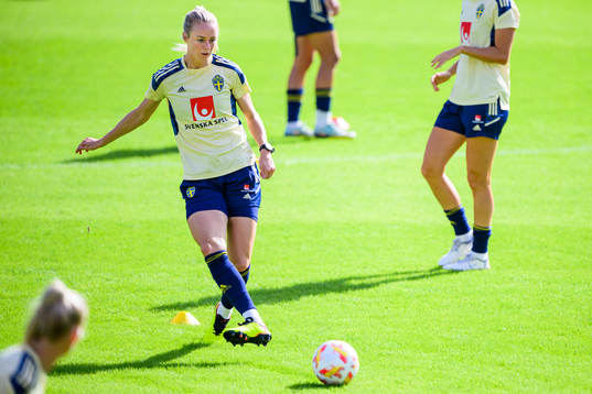 Amanda Ilestedt of the Swedish women's national football