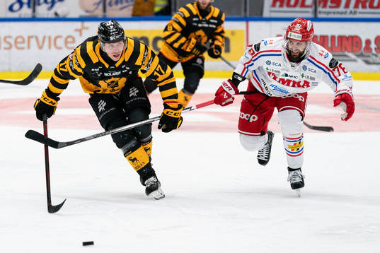 Skellefteås Pär Lindholm och Timrås Robin Hanzl