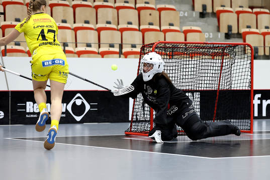 Endres målvakt Frida Görtz