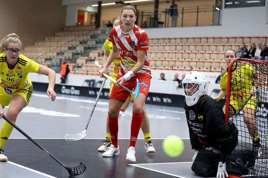 Pixbos Eliska Krupnova