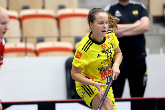 Endres Felicia Wallin