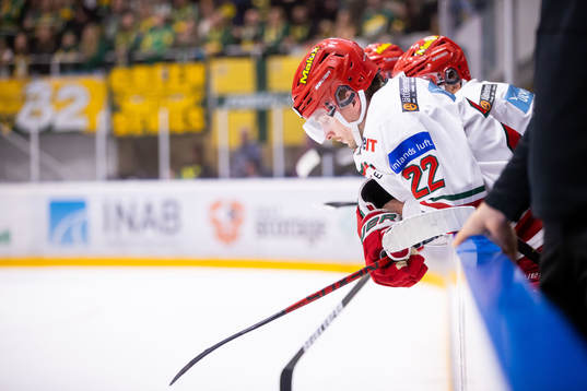 Modos Adam Pettersson deppar