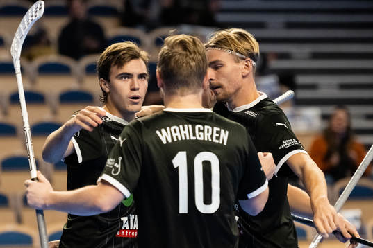 Helsingborgs Linus Bergström, Linus Malmström och Max