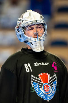 Gävles målvakt Felix Andersson