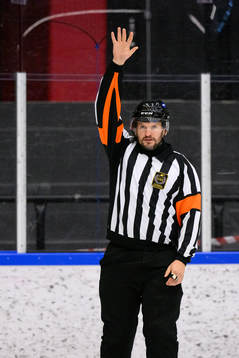 Domare Andreas Sjöberg