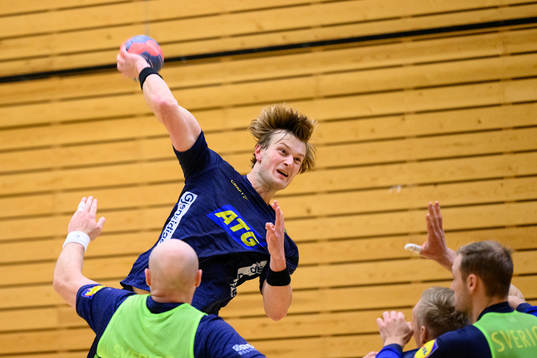 Bläddra bland fler bilder av Handboll, Sverige, Träning