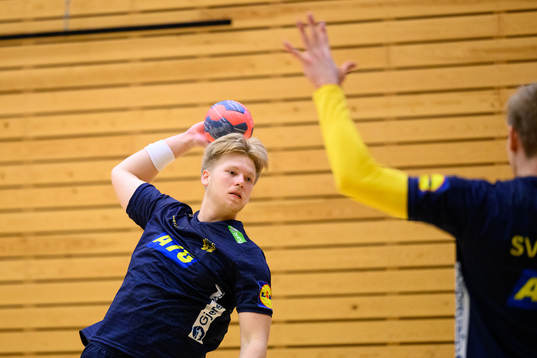 Felix Möller