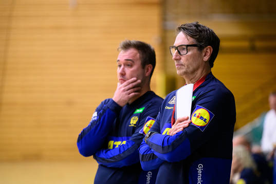 Assisterande förbundskapten Michael Apelgren och
