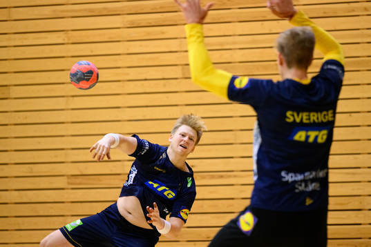 Felix Möller