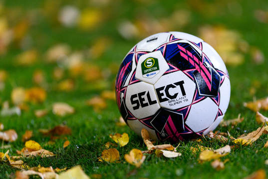 En fotboll