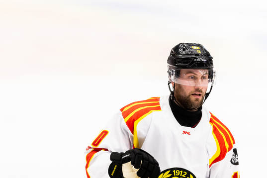 Brynäs Johan Larsson