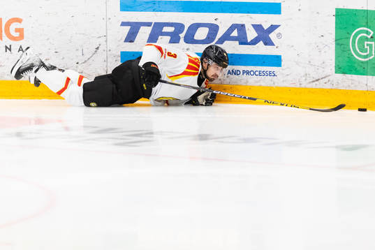 Brynäs Niklas Friman